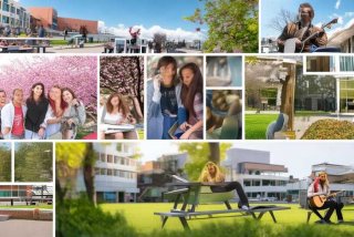 大学生活？，大学生活质量指北