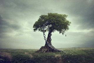 假如生活欺骗了你40集迅雷下载 - 假如生活欺骗了你迅雷高清下载