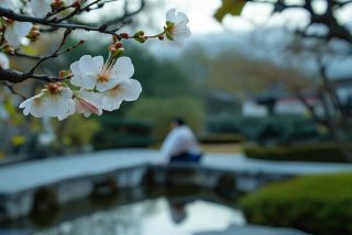 大唐的悠闲人生 大唐的悠闲人生 白梅暗香