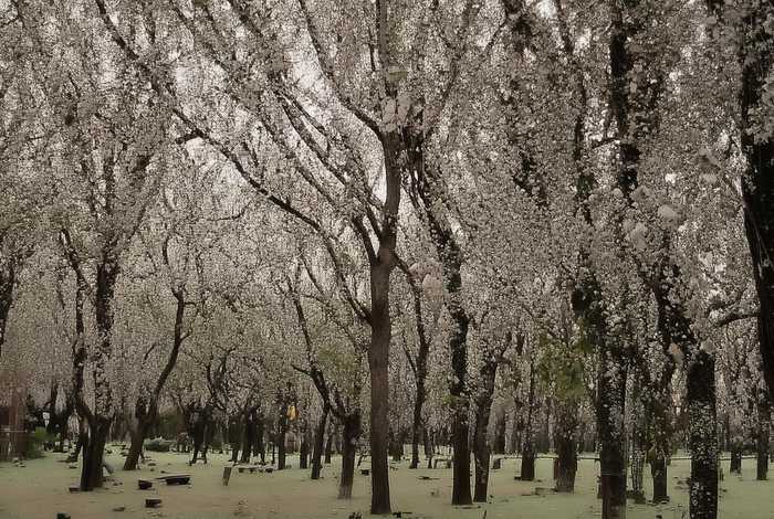 济南一小时生活圈 济南青岛一小时生活圈 济南一小时生活圈 济南青岛一小时生活圈