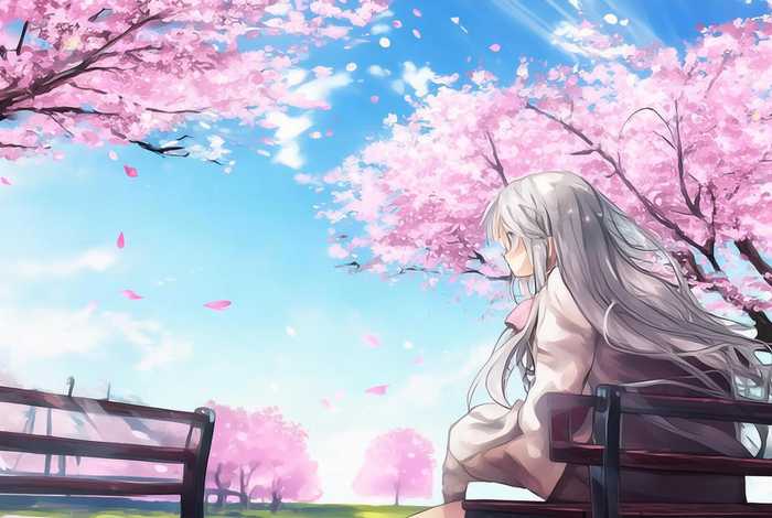 阿尔黛的生活在线观看樱花动漫（阿尔黛尔的生活在线观看完整版）