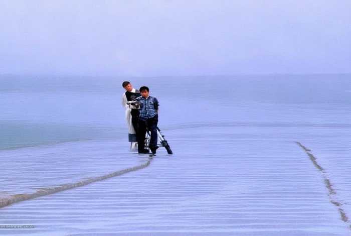 假如生活欺负了你.别说话，假如生活欺负了你.别说话的句子