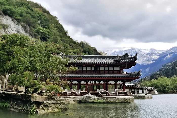 菊花生活环境十个字概括 - 菊花生活环境十个字概括怎么写