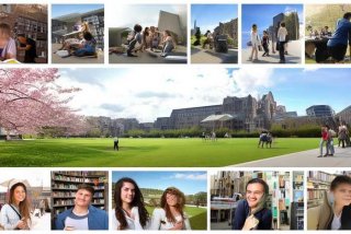 大学生活之我见论文4000 大学生活之我见200