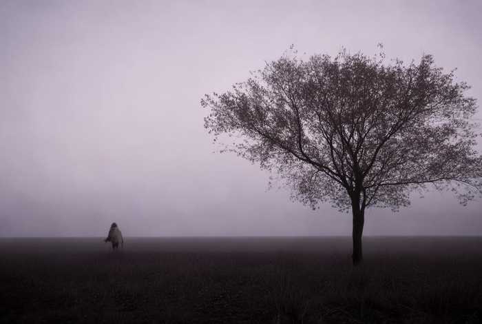 当有一天你对生活失去信心的时候；当有一天你对生活失去信心的时候说说