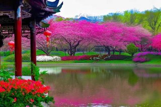 成都新生万物、成都新生万物属于什么档次