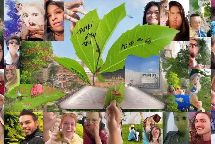 大学生活的收获和感悟 - 大学生活的收获和感悟简短