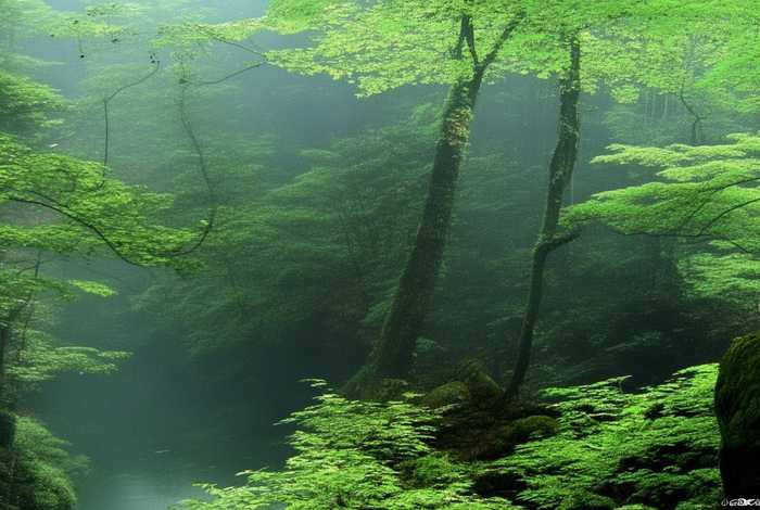 桂林二手房出售信息,桂林二手房出售 桂林二手房出售信息,桂林二手房出售