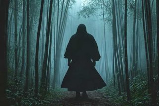 从雾隐开始的忍者生活洄溯，从雾隐开始的忍者生活 洄溯