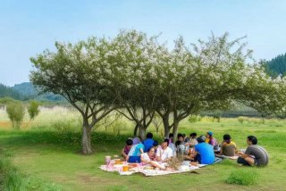 慢生活网络用语什么意思，慢生活方式是什么意思