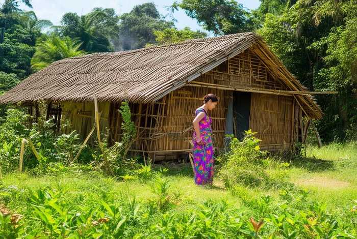 傣族的生活资料 - 傣族的生活资料大全