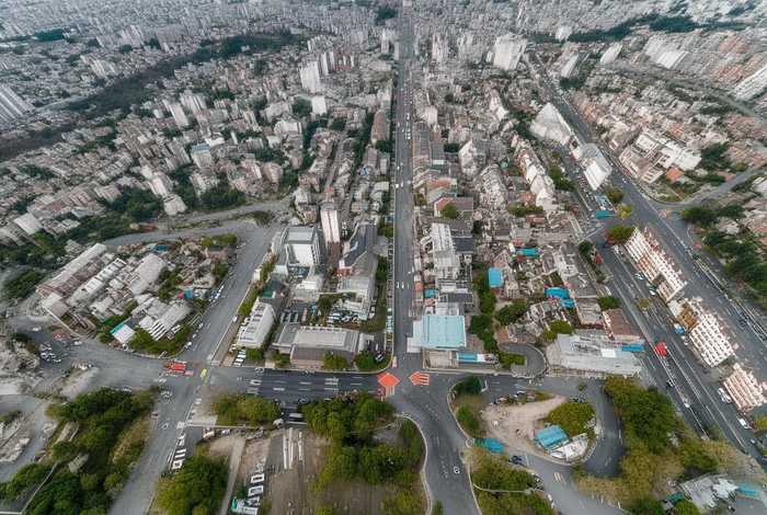 桂花的生活习性整理成文字（桂花的生活环境）