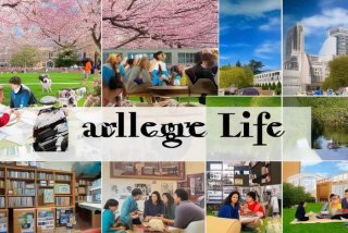 大学生活问题大全 大学生活问题大全英语作文