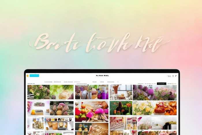 百合生活商城，百合生活商城官网