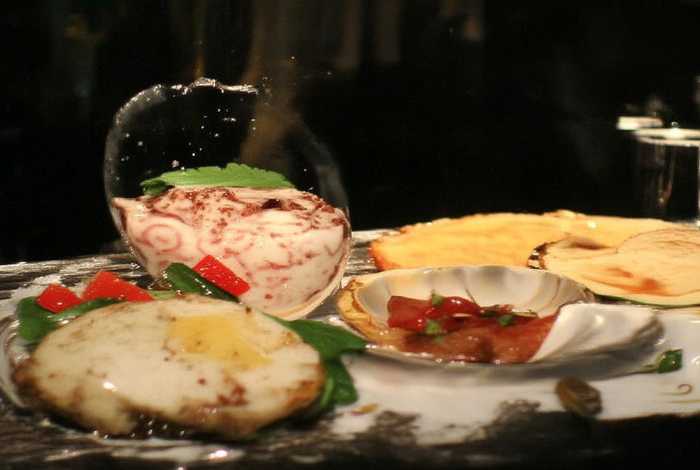 桂花的生活习性整理成文字（桂花的生活环境）