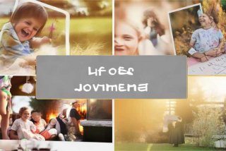 关于我的生活的作文800，关于我的生活的作文800字