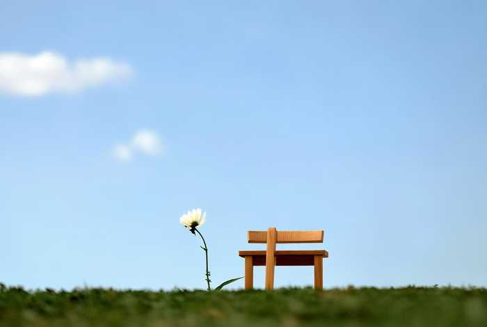 精简的意思（精简意思相近的四字词语）