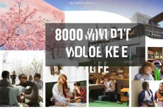 感悟大学生活感悟文章800字、感悟大学生活感悟文章800字怎么写