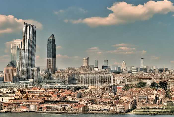 猫头鹰的生活习性300个字 - 猫头鹰的生活环境是什么