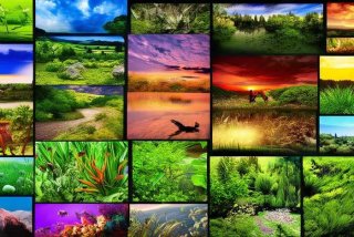 多采自然生活号、生活自然文库