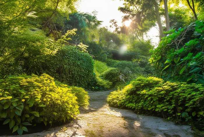 孔雀生活方式,孔雀生活方式有哪些 孔雀生活方式,孔雀生活方式有哪些