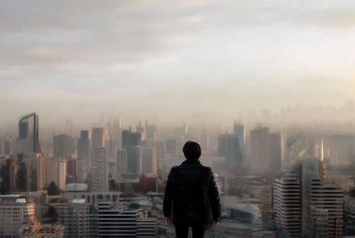 绿萝的生活环境100字左右 - 绿萝的生活环境100字左右作文