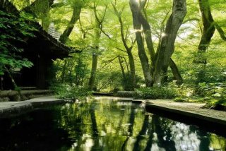 侯夫人的悠闲生活 侯夫人的悠闲生活txt