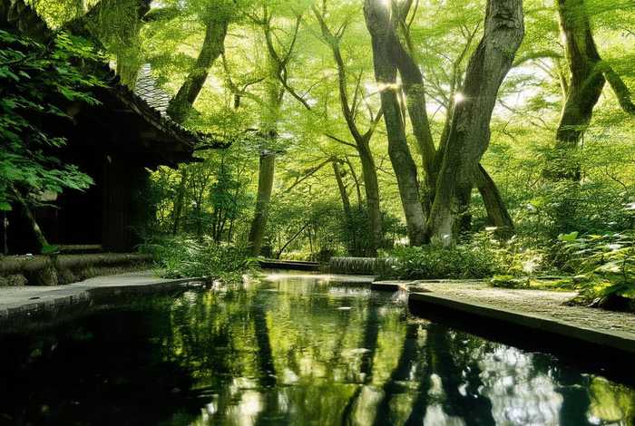 侯夫人的悠闲生活 侯夫人的悠闲生活txt