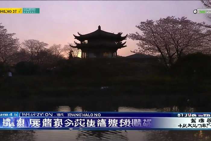 杭州电视台生活频道前天回看；杭州电视台生活频道前天回看节目