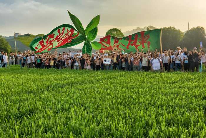 绿叶爱生活打假；绿叶爱生活打假河南