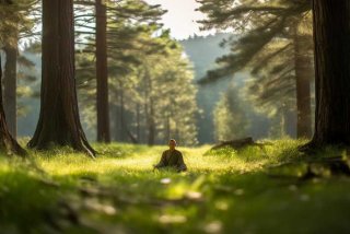 大麦的隐居生活 大麦的隐居生活 在线