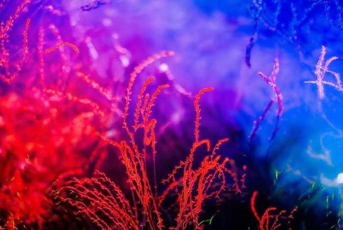 吉视生活频道直播夕阳火旅游专列是哪个团队的、吉视生活直播在哪里看