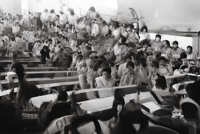 蚂蚱生活在什么样的环境中 蚂蚱生活在什么样的环境中呢