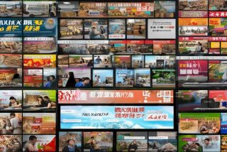 嘉善bbs生活网、嘉善生活网社区嘉善bbs嘉善论坛