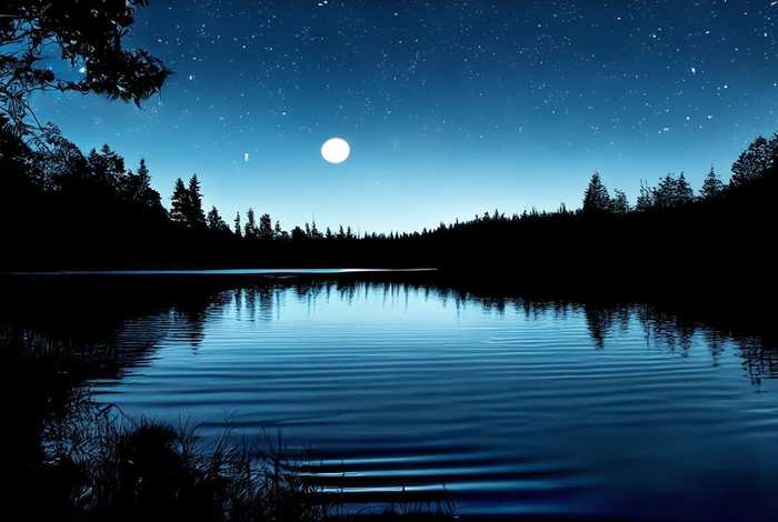 剪影作文 剪影作文八百字