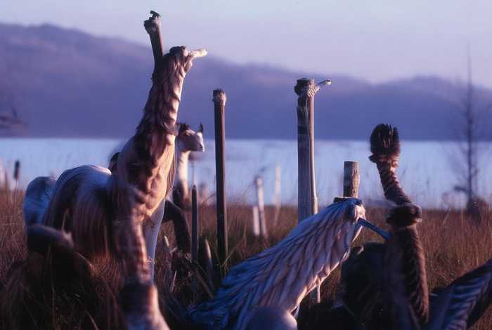 付慧琳素颜生活照；付慧琳素颜生活照片大全