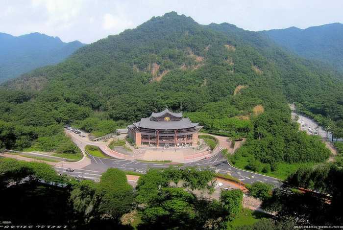 海豚生活习性20字（海豚的生活方式写一段话）