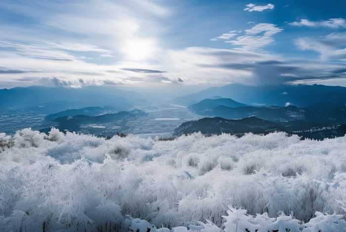 辽阳生活水库（辽阳生活水库放水通知）