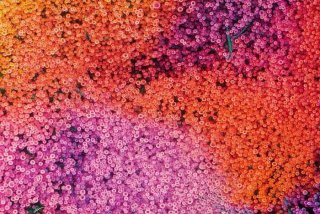 华润生活超市营业时间（华润生活超市营业时间查询）