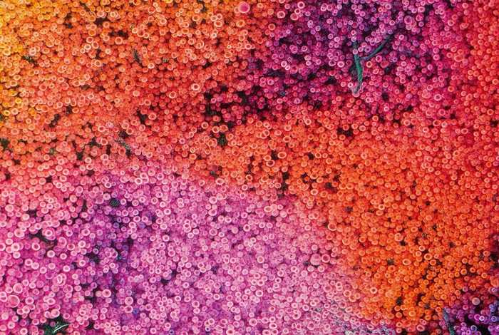 华润生活超市营业时间（华润生活超市营业时间查询）