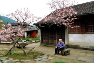 大丰生活回忆（大丰生活网）