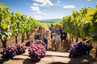 关于生活的作文400字,写去葡萄园摘葡萄的事（关于生活的作文400字,写去葡萄园摘葡萄的事情怎么写）