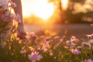 婚姻生活的感悟句子，婚姻生活的感悟句子唯美