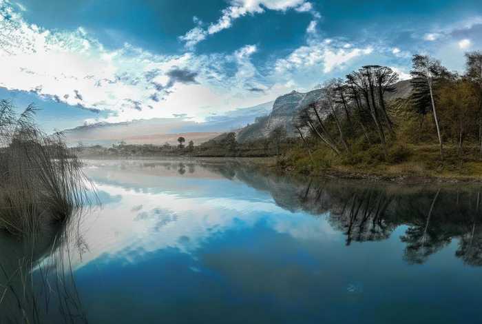 黄瓜园社区（黄瓜园社区居委会电话）