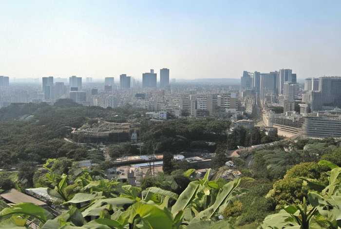 财经24小时 商务部将发文支持生活服务企业加速复工,商务部便民生活圈 财经24小时 商务部将发文支持生活服务企业加速复工,商务部便民生活圈