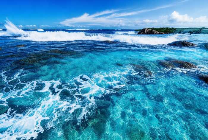 黄花鱼生活在哪里；黄花鱼生活在哪里呢