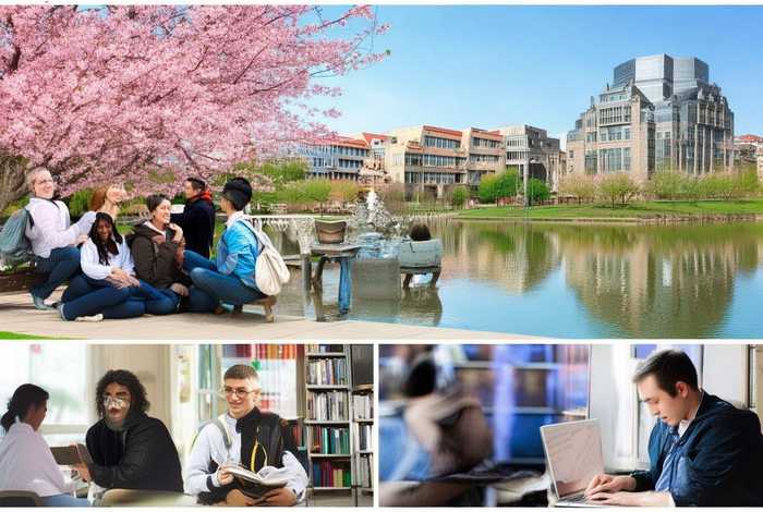 关于大学生活的英语作文80词 - 关于大学生活的英语作文80词带翻译