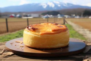 北海道的铭菓 - 北海道铭菓是什么