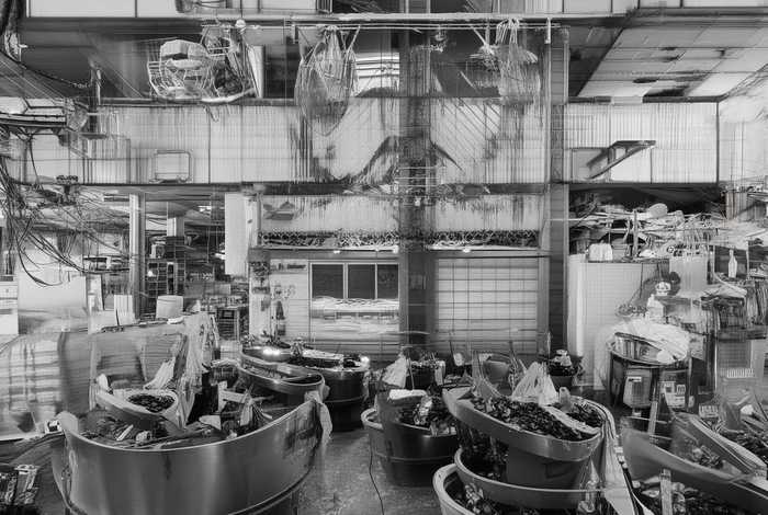 葫芦藓的特征和生活环境简写(葫芦藓的特征和生活环境简写图片) 葫芦藓的特征和生活环境简写(葫芦藓的特征和生活环境简写图片)