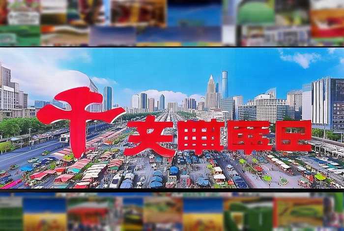 河北经济生活频道现场直播、河北经济生活频道现场直播回放